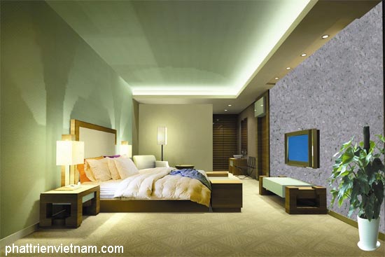 Thiết kế mẫu nhà với tường tơ lụa - Công ty Phát Triển Việt Nam